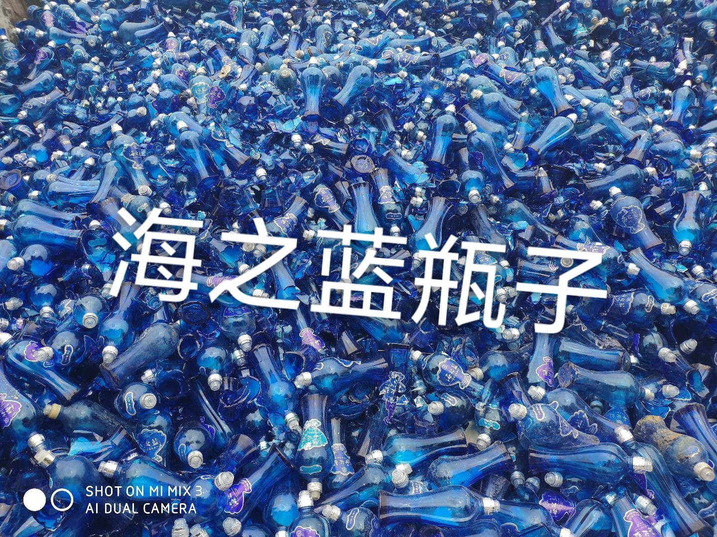 海陵区海之蓝瓶回收